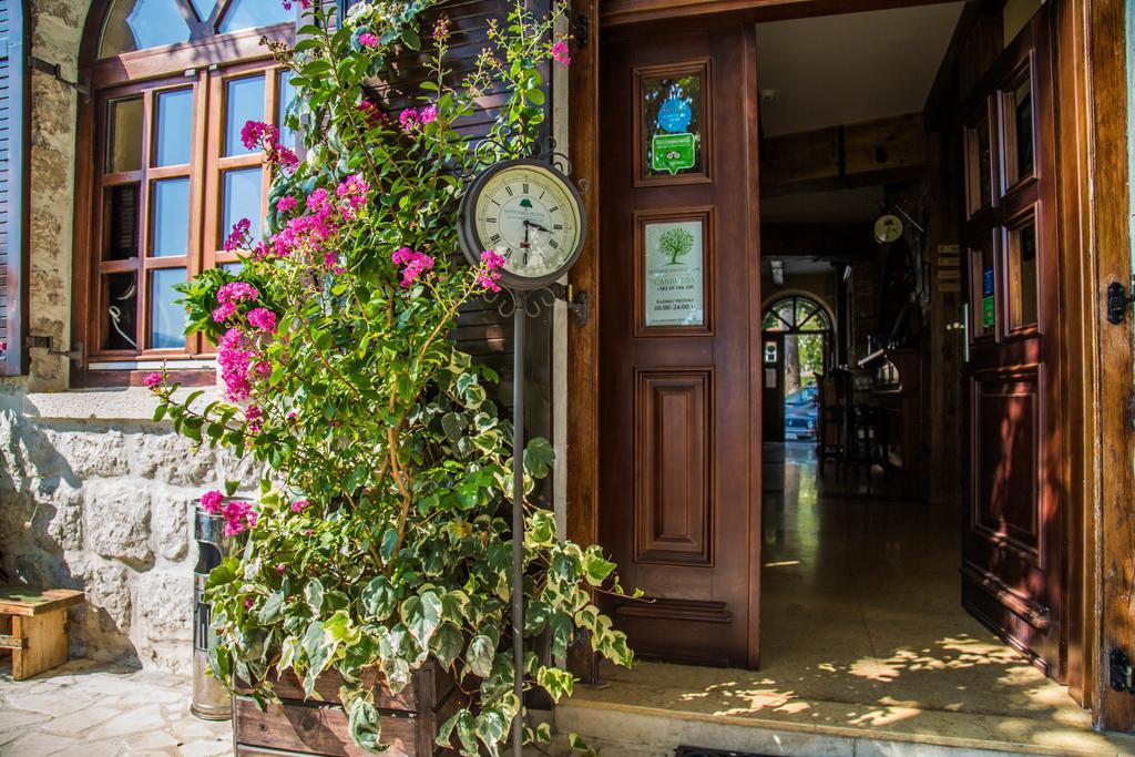 Hotel Carrubba Vùng duyên hải Vùng duyên hải Donja Lastva Ngoại thất bức ảnh